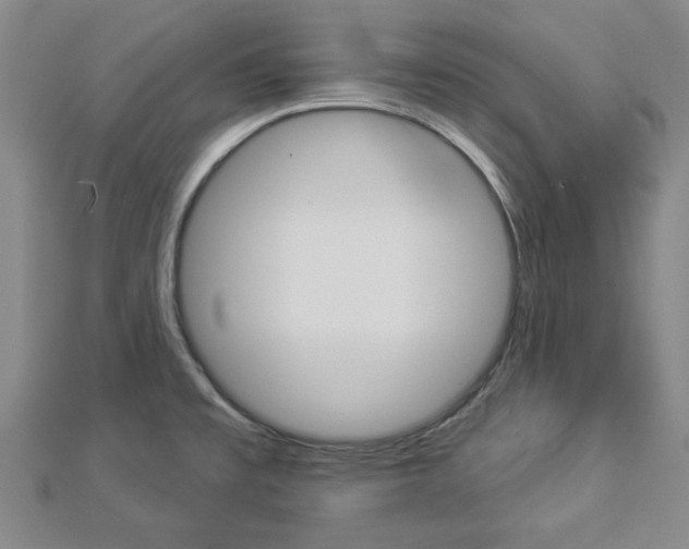 X0000112981477200908270908