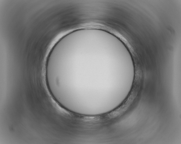 X0000112981478200908270908