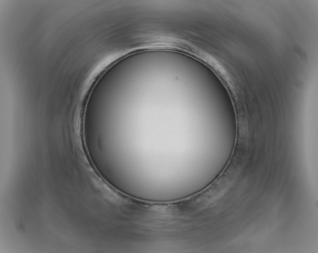 X0000112981480200908270908