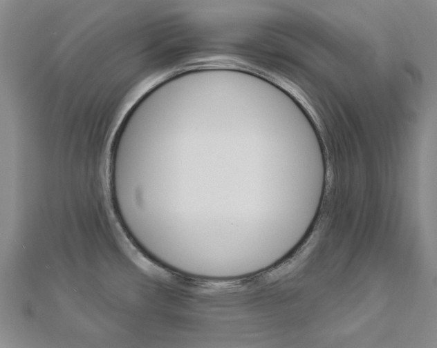 X0000112981482200908270908