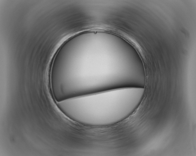 X0000112981483200908270908