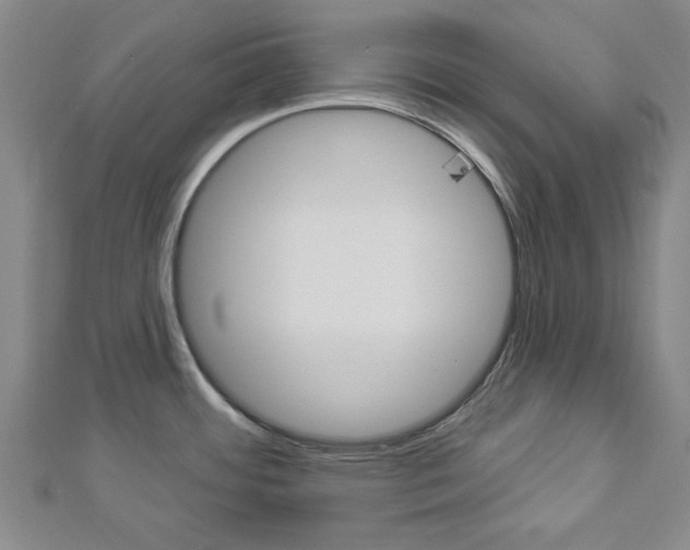 X0000112981484200908270908