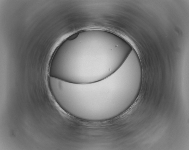 X0000112981485200908270908
