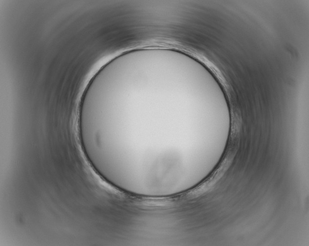 X0000112981486200908270908