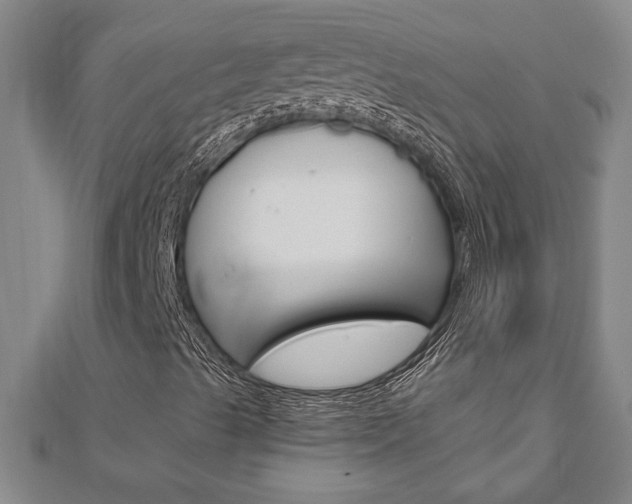 X0000112981489200908270907