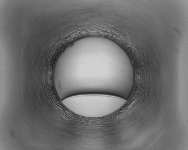 X0000112981490200908270907