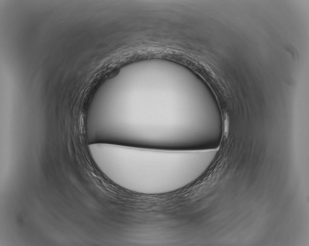 X0000112981492200908270907