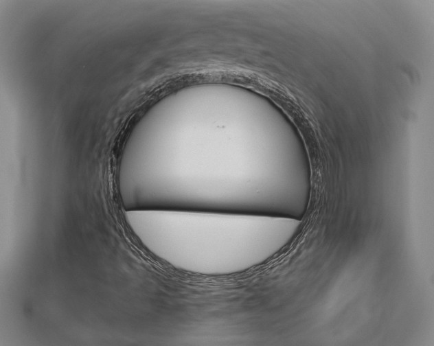 X0000112981493200908270907