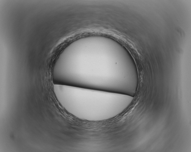 X0000112981494200908270907