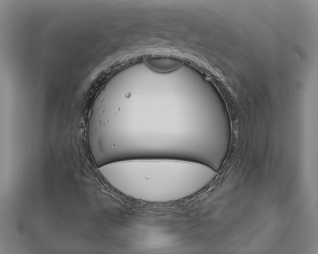 X0000112981495200908270907