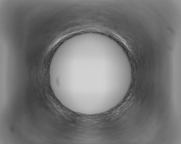 X0000112981496200908270907