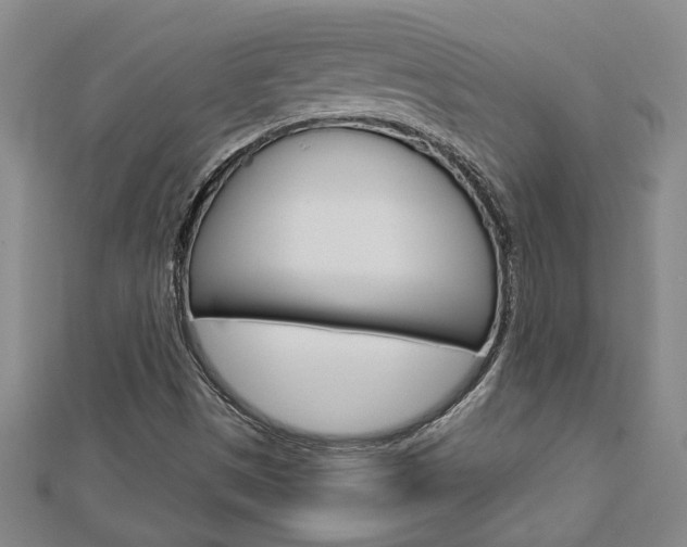 X0000112981497200908270907