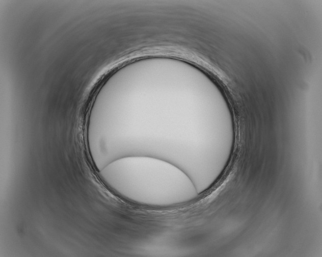 X0000112981498200908270907