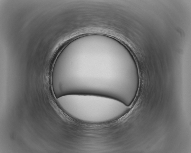 X0000112981499200908270907