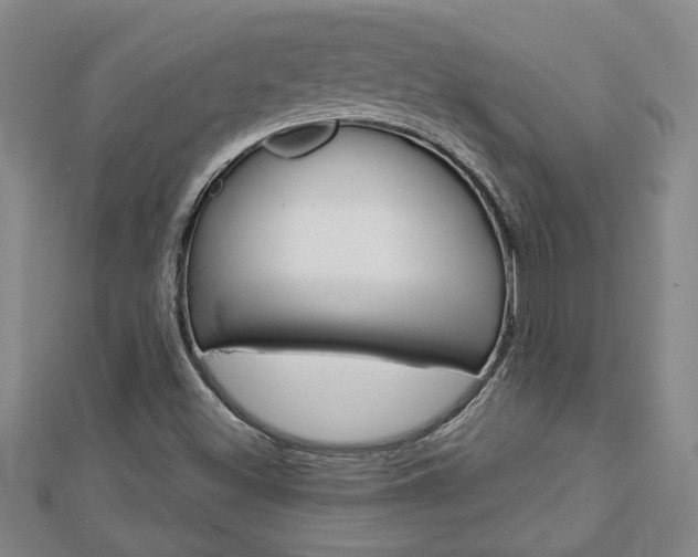 X0000112981500200908270907