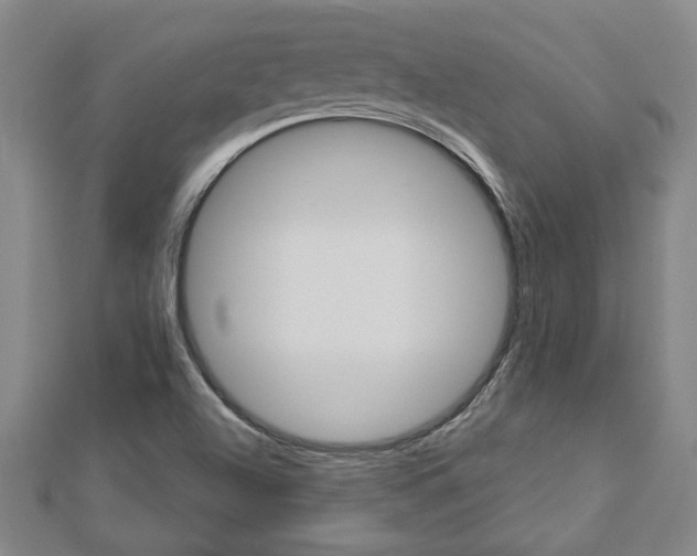 X0000112981504200908270907