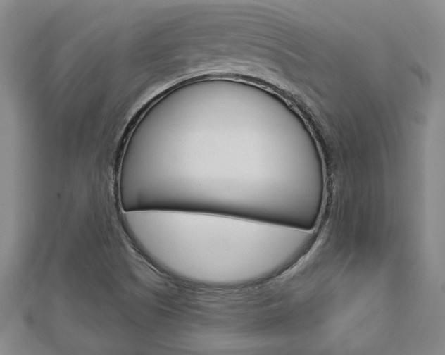 X0000112981505200908270907