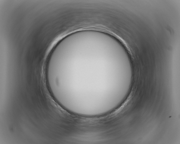 X0000112981506200908270907