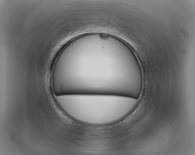 X0000112981507200908270907