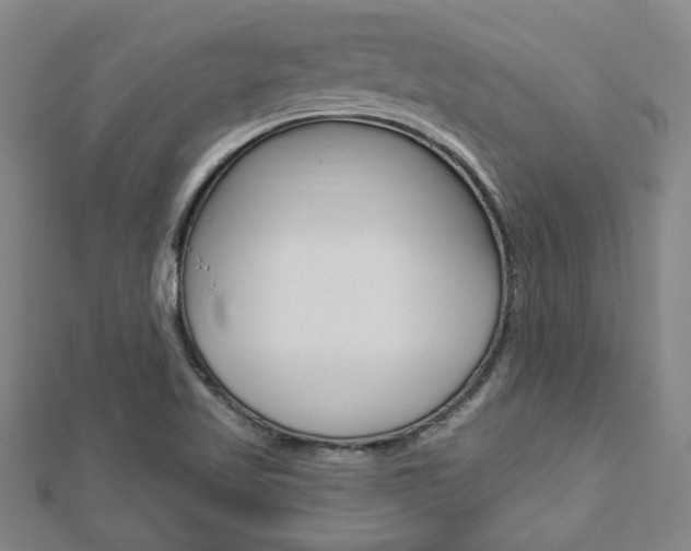 X0000112981509200908270907