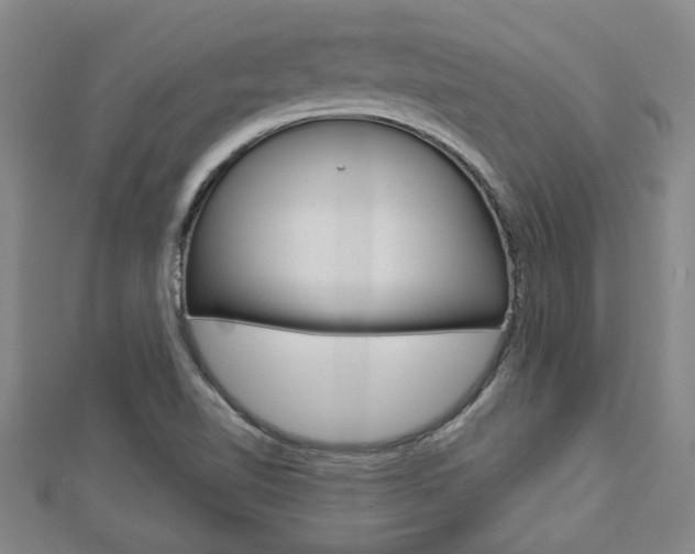 X0000112981510200908270907