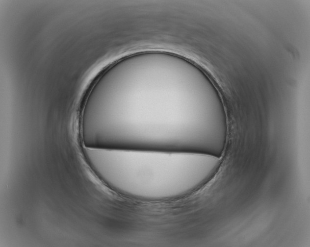 X0000112981511200908270907