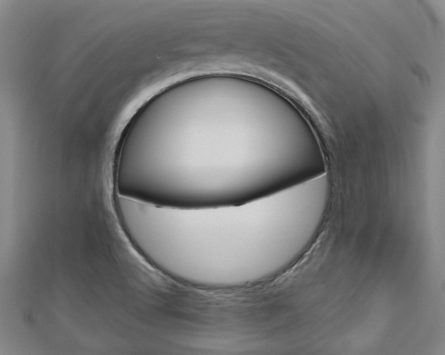 X0000112981512200908270907