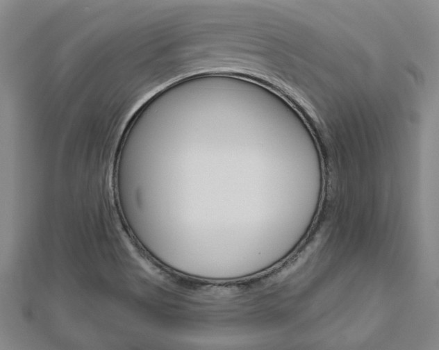 X0000112981513200908270907