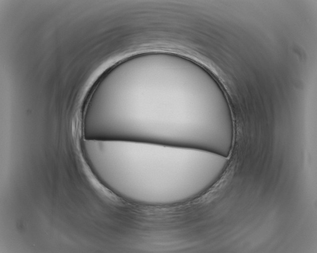 X0000112981515200908270907