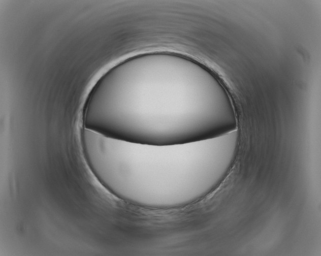 X0000112981516200908270907