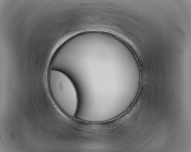 X0000112981517200908270907