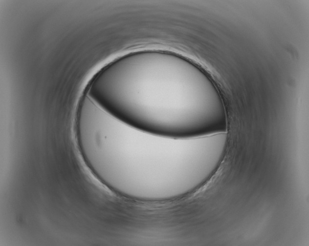 X0000112981518200908270907