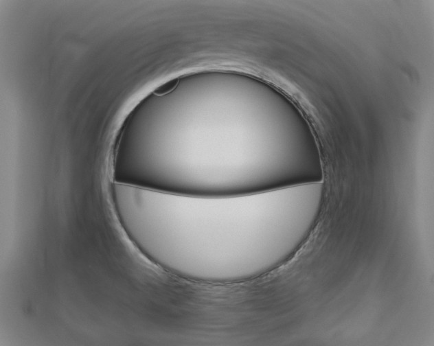 X0000112981520200908270907