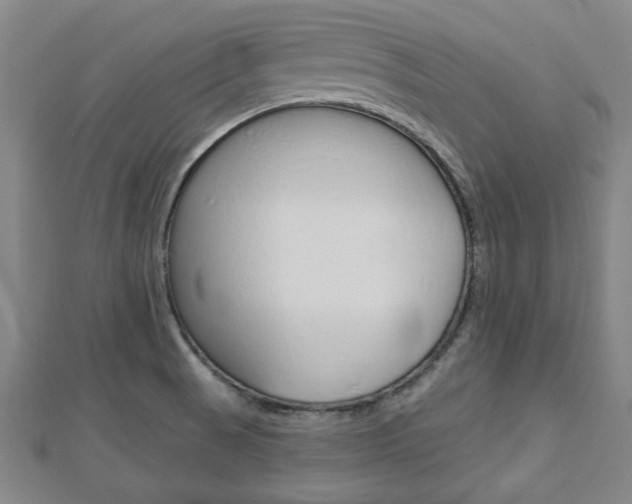 X0000112981521200908270907