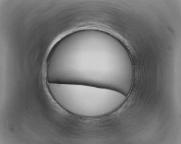 X0000112981522200908270907