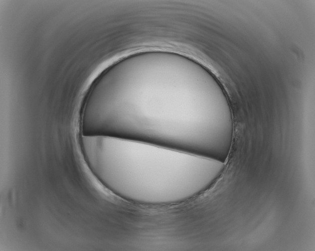 X0000112981523200908270907