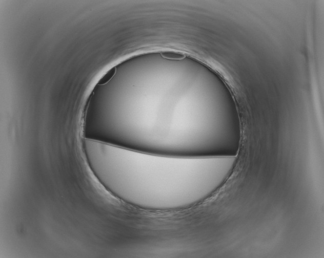 X0000112981524200908270907