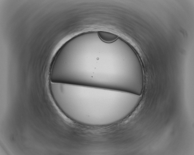 X0000112981525200908270907