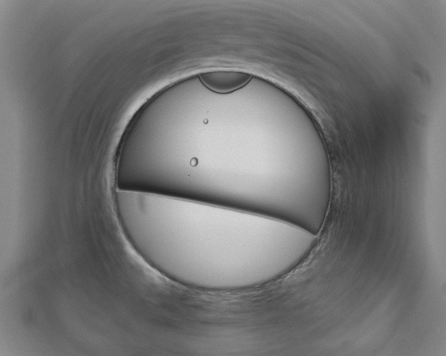X0000112981527200908270907