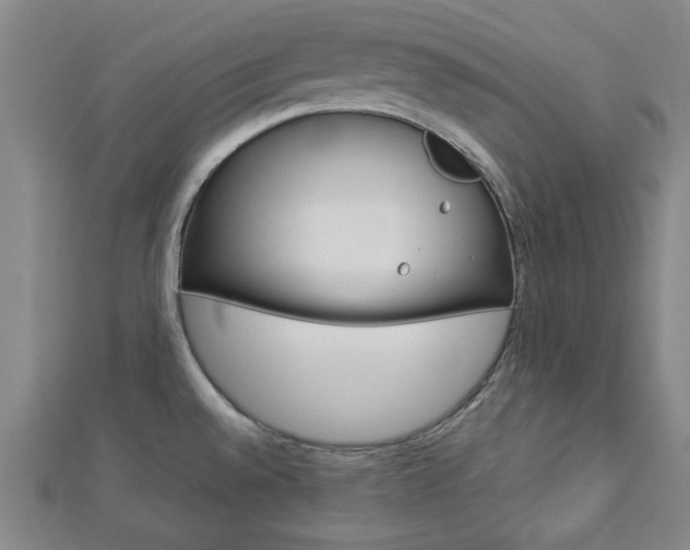 X0000112981528200908270907