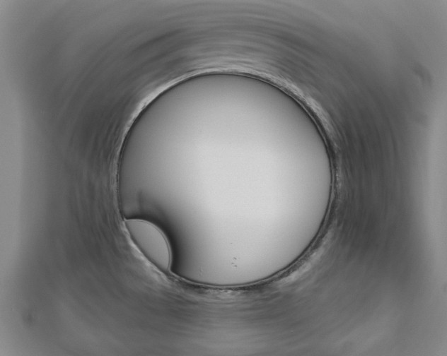 X0000112981529200908270908