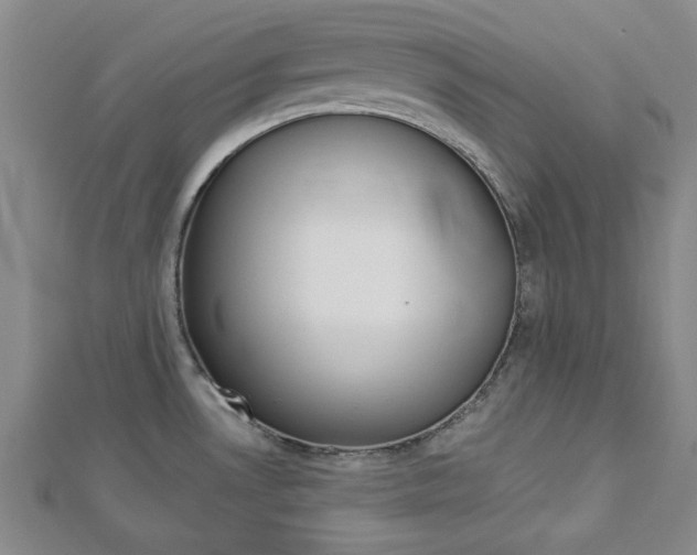 X0000112981530200908270908