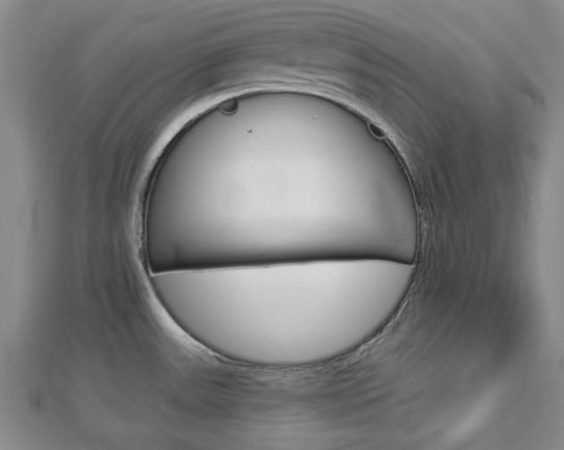 X0000112981531200908270908