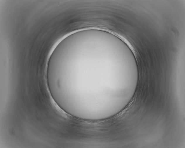 X0000112981532200908270908