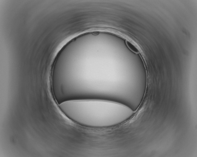 X0000112981533200908270908