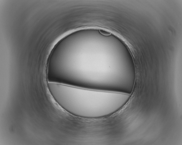 X0000112981534200908270908