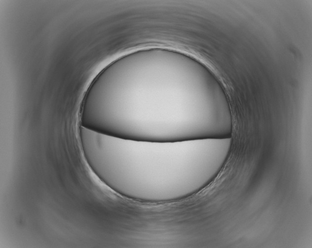 X0000112981535200908270908