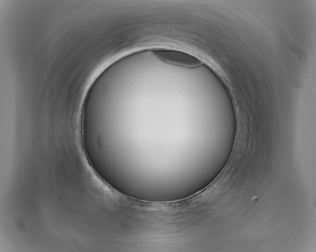 X0000112981536200908270908
