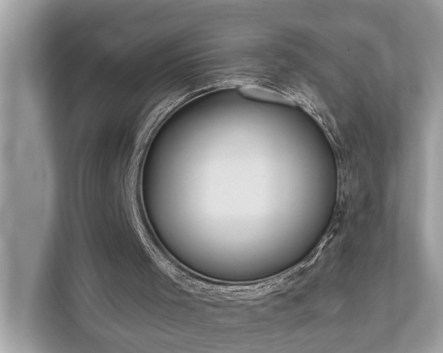 X0000112980001200908271152