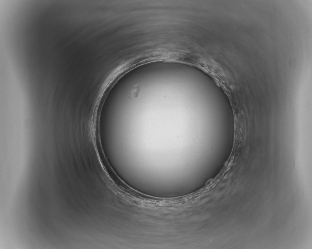 X0000112980003200908271152